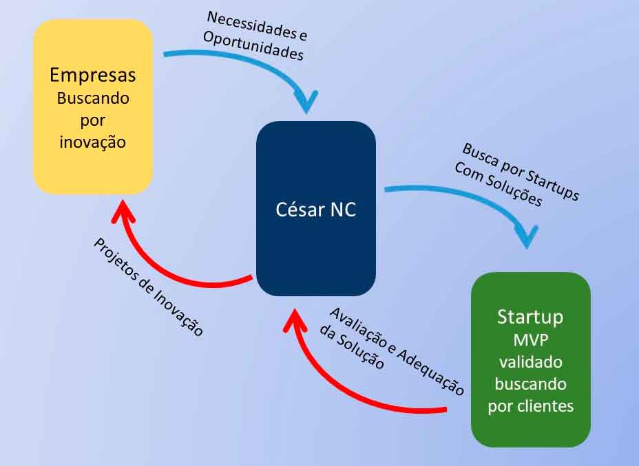 Consultoria em inovação para empresas e startups